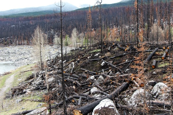 Kanadischer Staat verklagt wegen Untätigkeit im Klimabereich