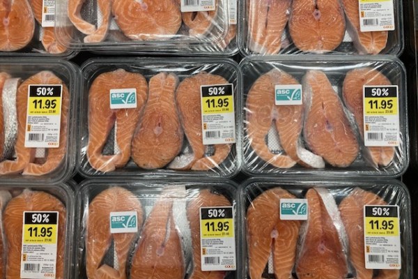 Coop und Migros verschleudern Fisch zum Spottpreis