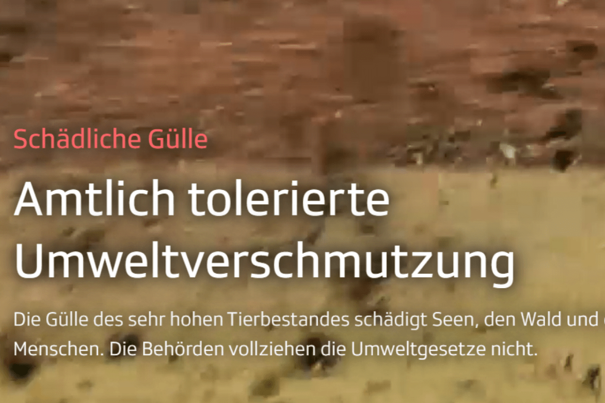 Schädliche Gülle aus dem «Schweinevalley»
