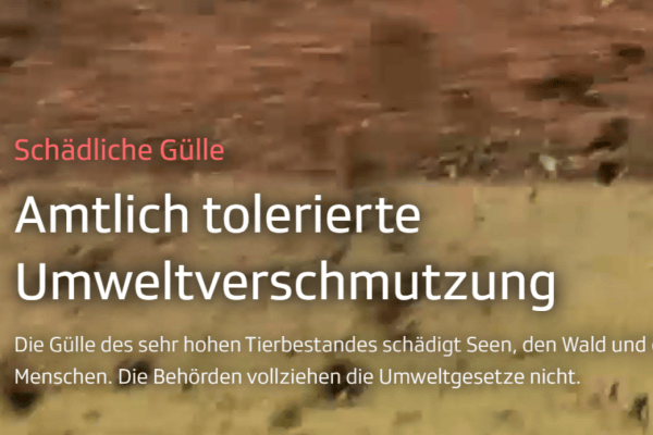 Schädliche Gülle aus dem «Schweinevalley»
