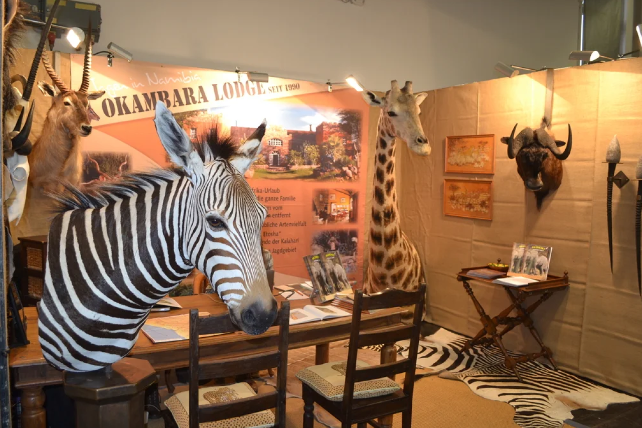 Besorgniserregender Anstieg von Jagdtrophäenimporten nach Deutschland