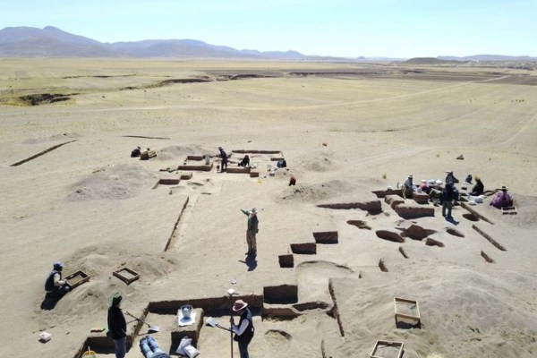 Study: Early humans ate 80% plant-based