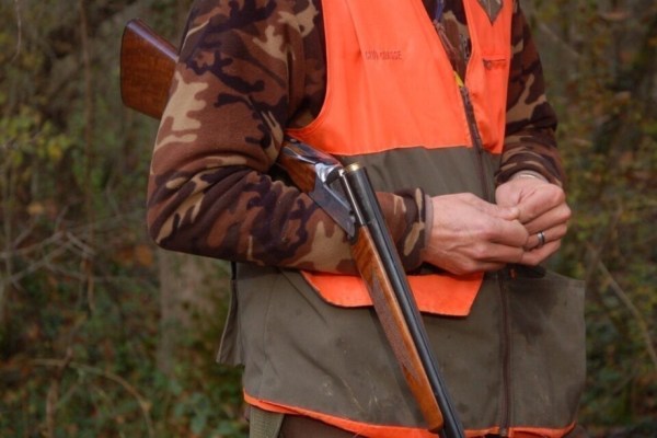 Gefahren der Hobby-Jagd: Saisonale Bedrohung für Wildtiere