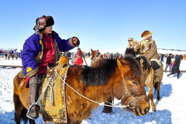 Mongolei: 1,5 Millionen Herdentiere verendet