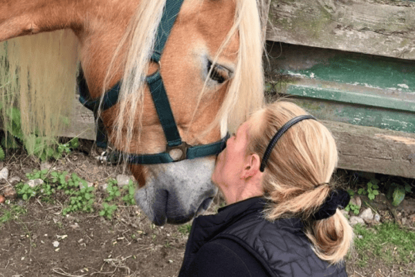 Hobby-Jäger erschiesst Pferd: Fachkräftemangel im Revier