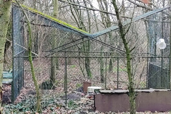 Illegale Vogelfallenjagd in Deutschland aufgedeckt