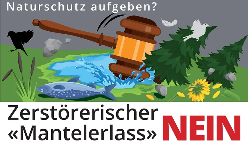 Der Bundesrat ist wieder auf Anti-Demokratie Kurs