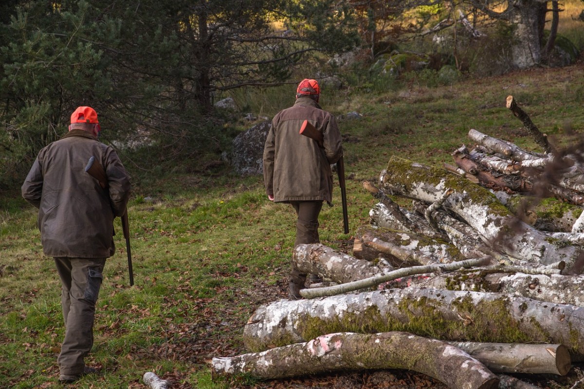 Die Auswirkungen der Hobbyjagd auf Wildtiere und Ökosysteme in Deutschland