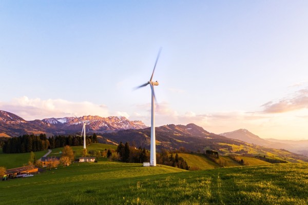 Windturbines en wilde dieren: schone energie in conflict