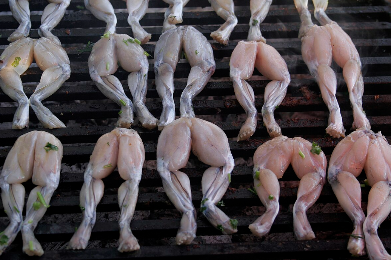 Frankreich soll Raubbau an Fröschen stoppen