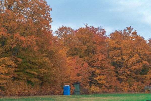 Toiletten für Hobby-Jäger im Wald: Bundesrecht sagt Nein
