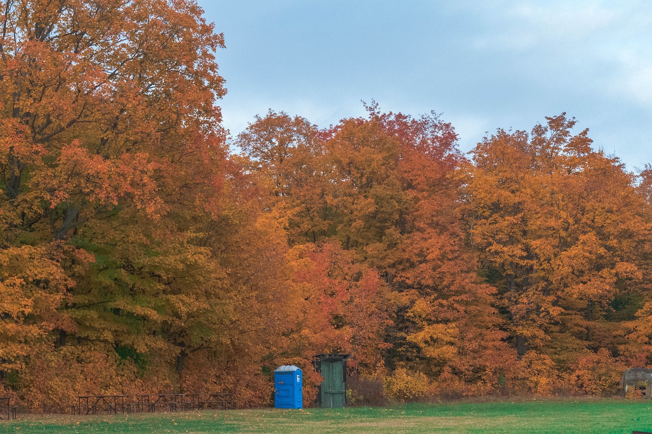 Toiletten für Hobby-Jäger im Wald: Bundesrecht sagt Nein