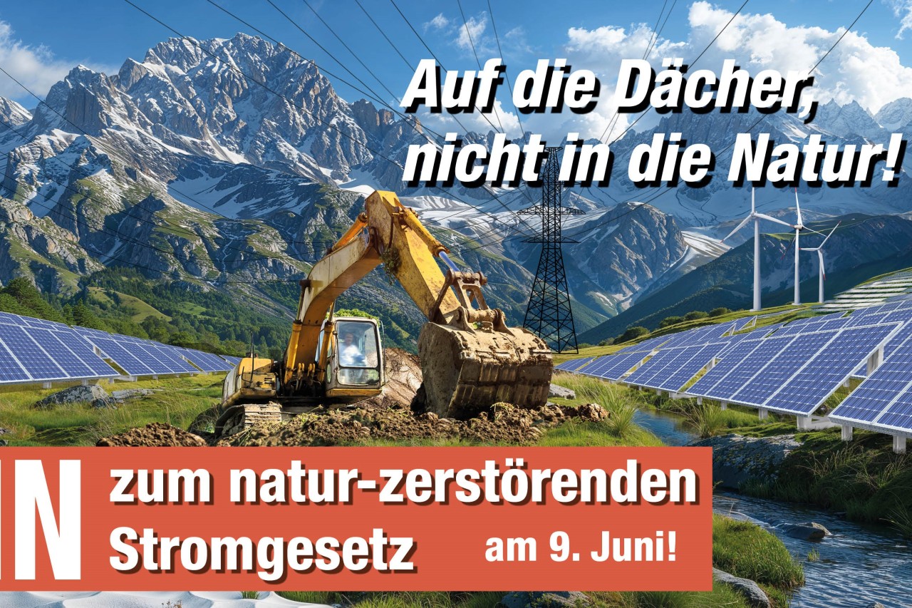 Stromgesetz: Naturzerstörend und antidemokratisch