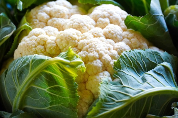 Blumenkohl: Ein Gemüse mit Geschichte