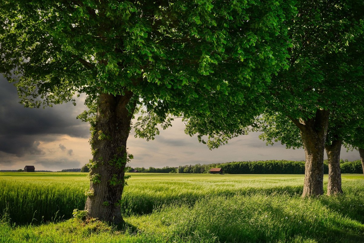 EU-Staaten beschliessen umstrittenes Naturschutzgesetz