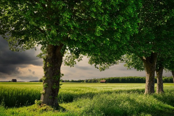 EU-Staaten beschliessen umstrittenes Naturschutzgesetz
