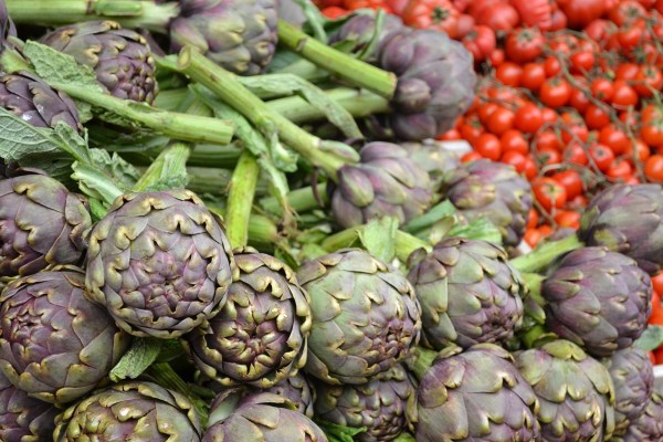 Artichaut : le superaliment de niche suisse
