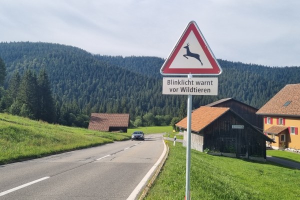 Wild-Warnanlage soll Wildunfälle in Zug reduzieren
