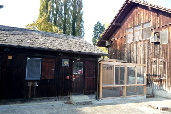 La station pour hérissons de Frauenfeld détruite par un incendie