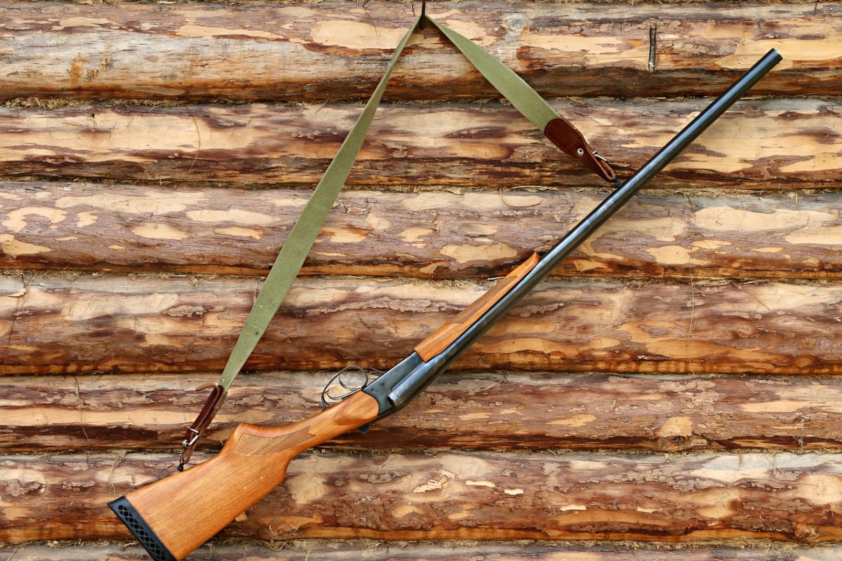 Kontroversen im Zusammenhang mit dem Wolfsmanagement und der Hochwildjagd in der Schweiz