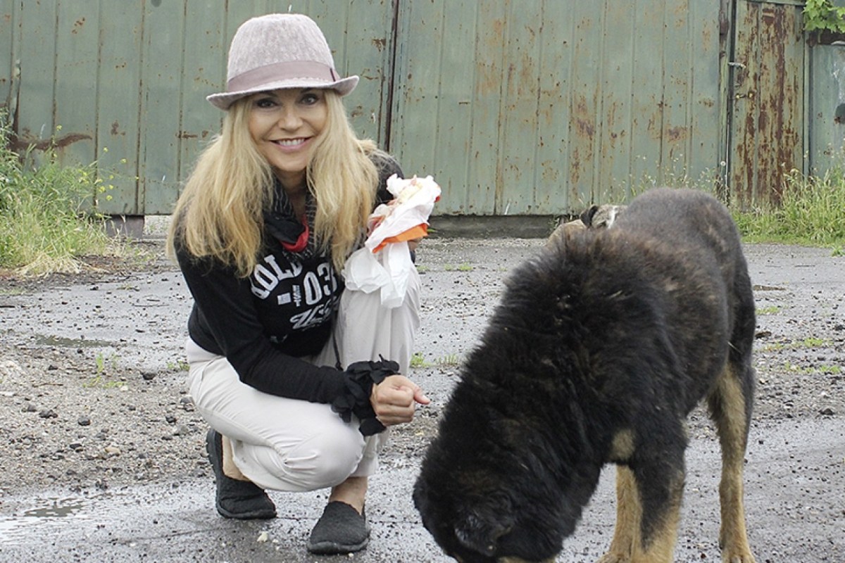 Schweizer Tierschutz kündigt Vertrag mit Ex-Miss Lolita Morena