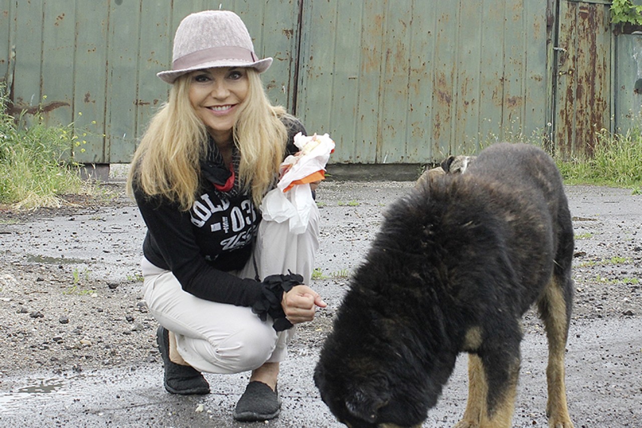 Schweizer Tierschutz kündigt Vertrag mit Ex-Miss Lolita Morena