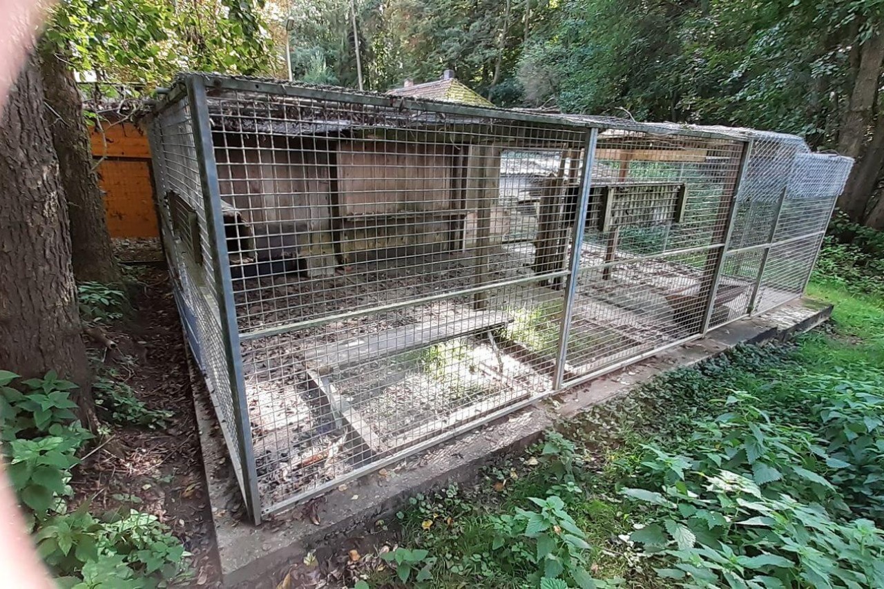 Video Fuchsquälerei in Schliefenanlage