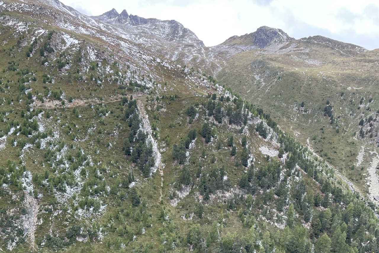 Zernez: Vermisster Hobby-Jäger leblos aufgefunden