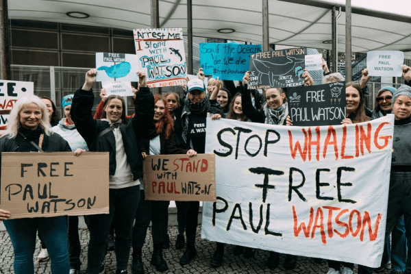 Paul Watson: Haft in Grönland verlängert