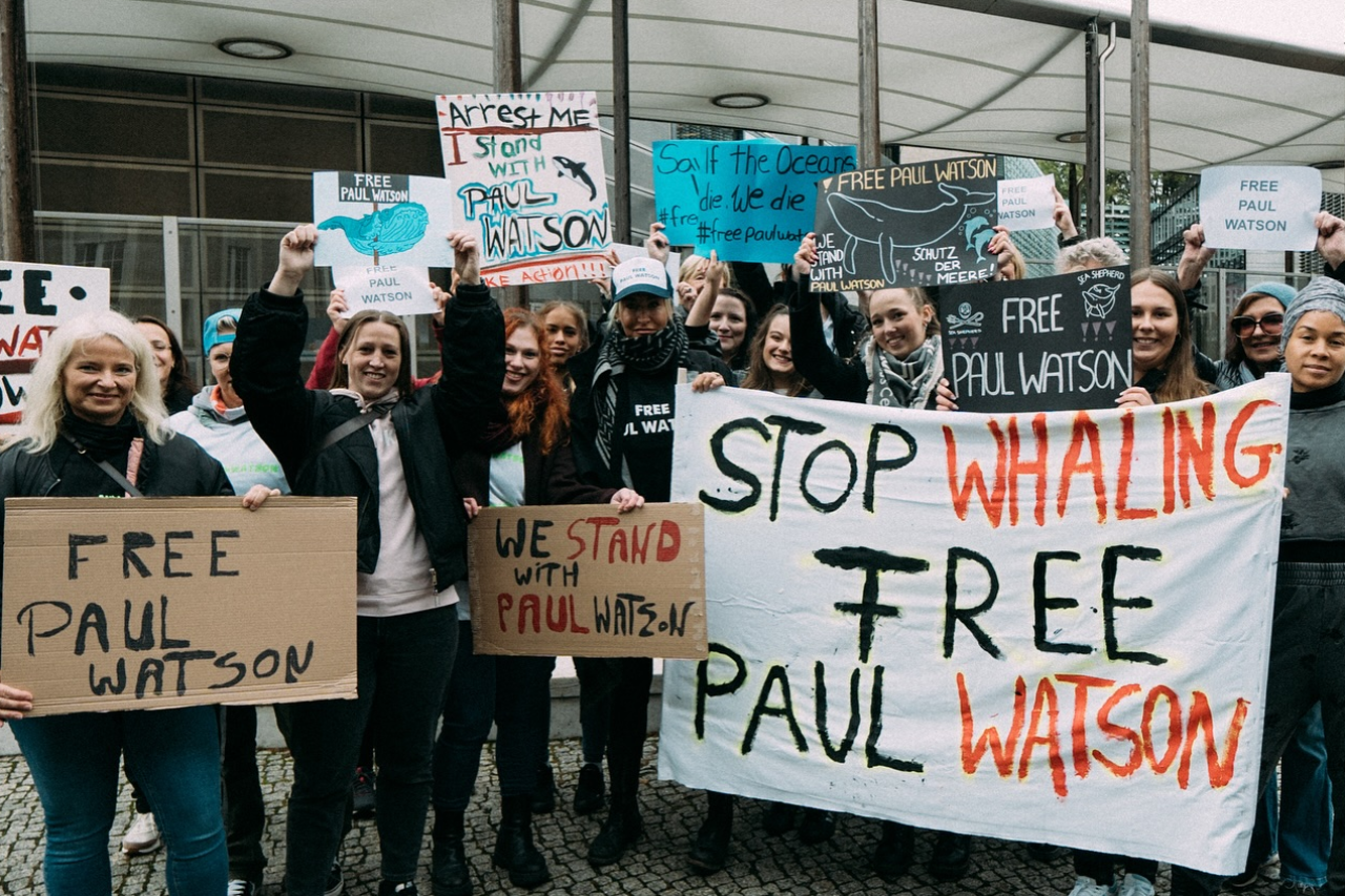 Paul Watson: Haft in Grönland verlängert