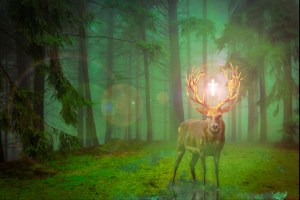 Hubertusmesse in der Kirche Burgdorf IG Wild beim Wild kritisiert kirchlichen Segen für Hobby-Jäger