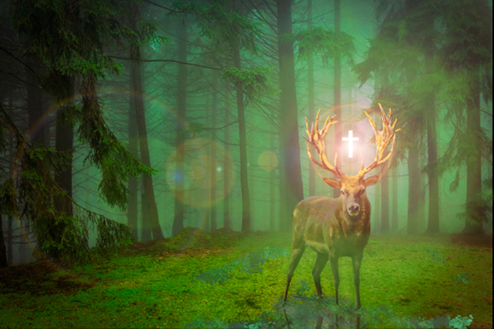 Messe de Saint-Hubert dans l'église de Burgdorf L'IG Wild beim Wild critique la bénédiction ecclésiastique pour les chasseurs de loisir