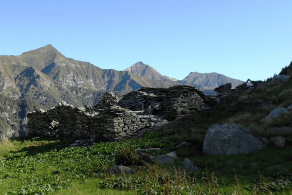 Italien: Keine Hobby-Jagd mehr im Val Grande