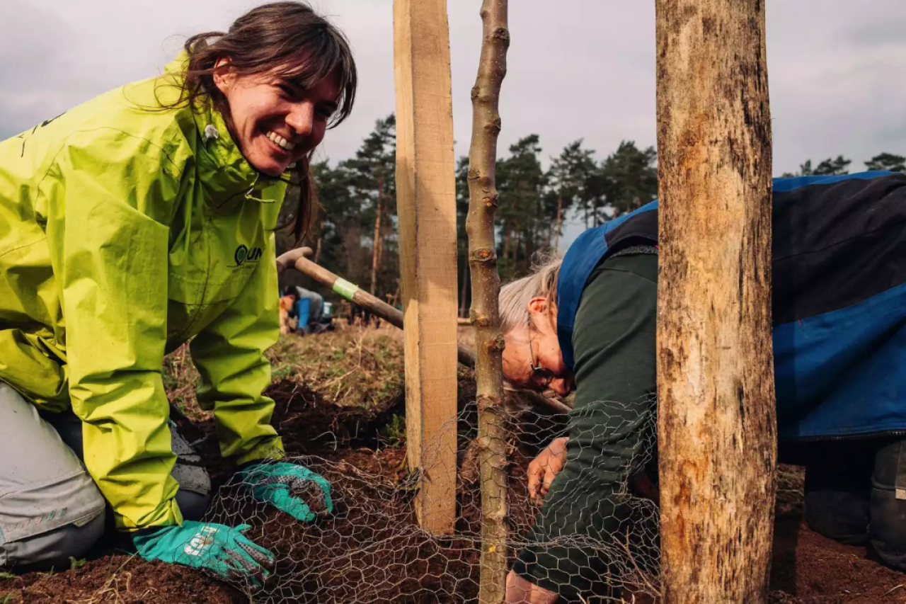 BUND pflanzt 20’000 Bäume für die Wildkatze