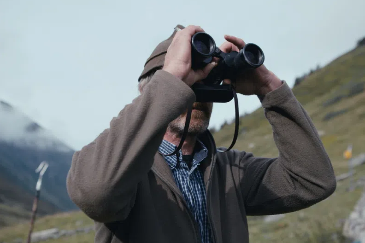 Film: Der Wolf im Visier – Schutz oder Abschuss?