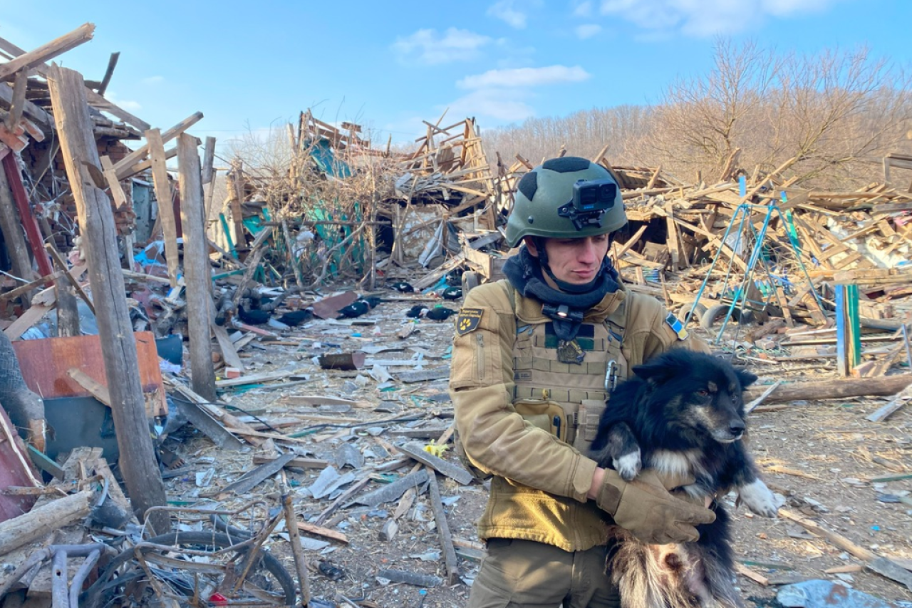 PETA HELPS UKRAINE Tiere in der Not – Ein Lichtblick im Dunkel des Krieges