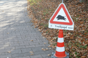 Unfall bei Treibjagd 59-Jährige schwer verletzt
