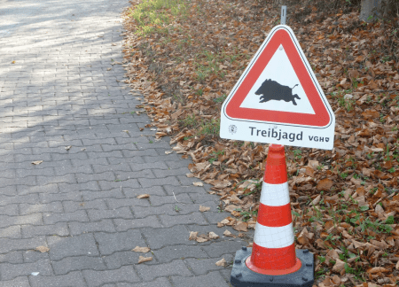 Unfall bei Treibjagd 59-Jährige schwer verletzt