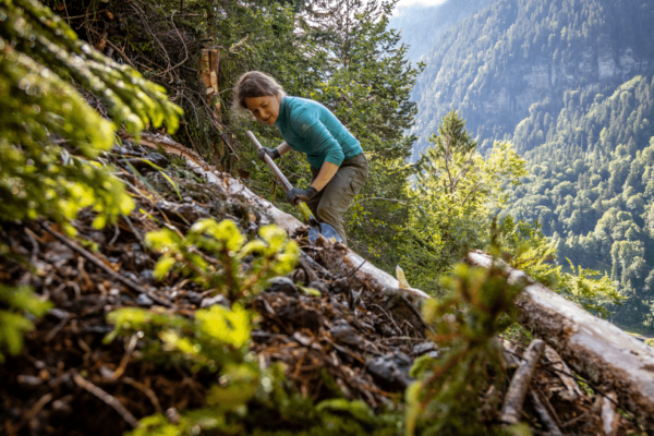 Projet forêt de montagne : des bénévoles pour la protection de la forêt de montagne