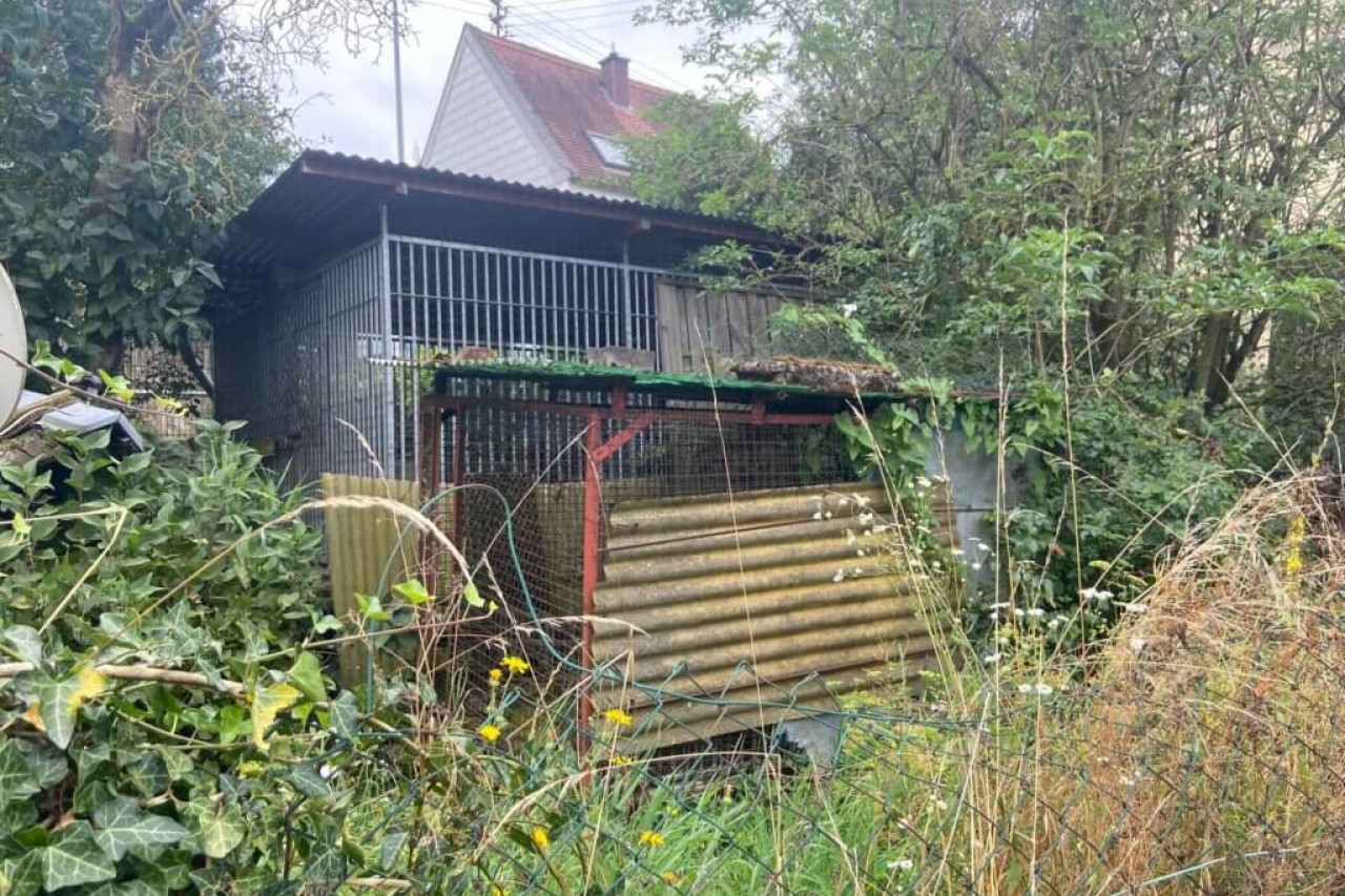 Füchse aus tierschutzwidriger Haltung bei Hobby-Jäger gerettet