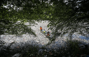 Abfall im Citarum bei Bandung