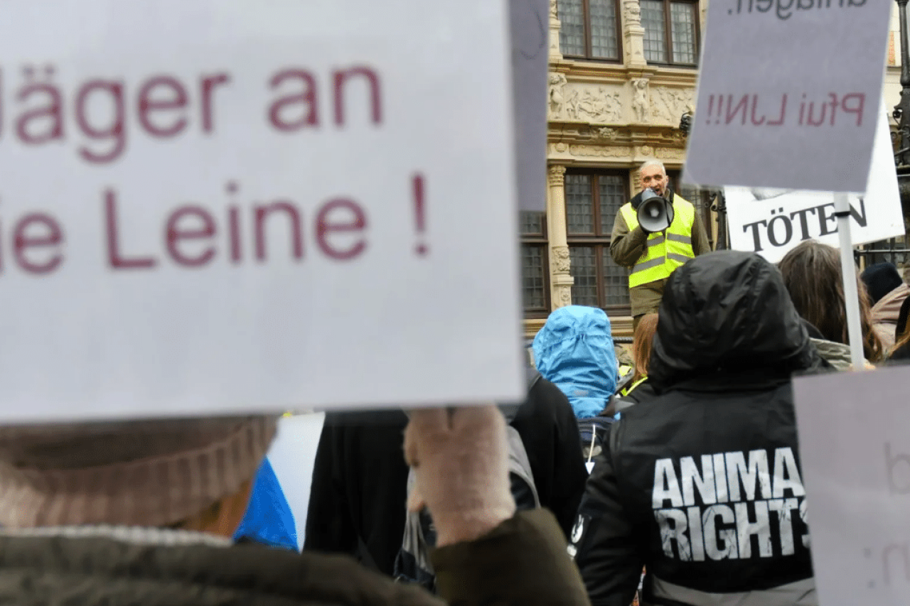 Tierschützer fordern Reform des Jagdgesetzes