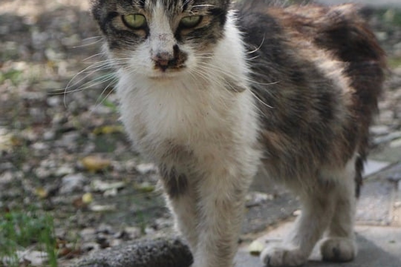 Teufelskreis durchbrechen