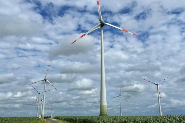 Windparks trocknen Böden aus und verändern das Klima