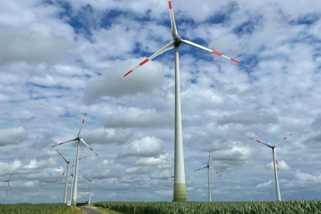 Die Auswirkungen von Windparks auf die Bodenfeuchtigkeit und das lokale Klima