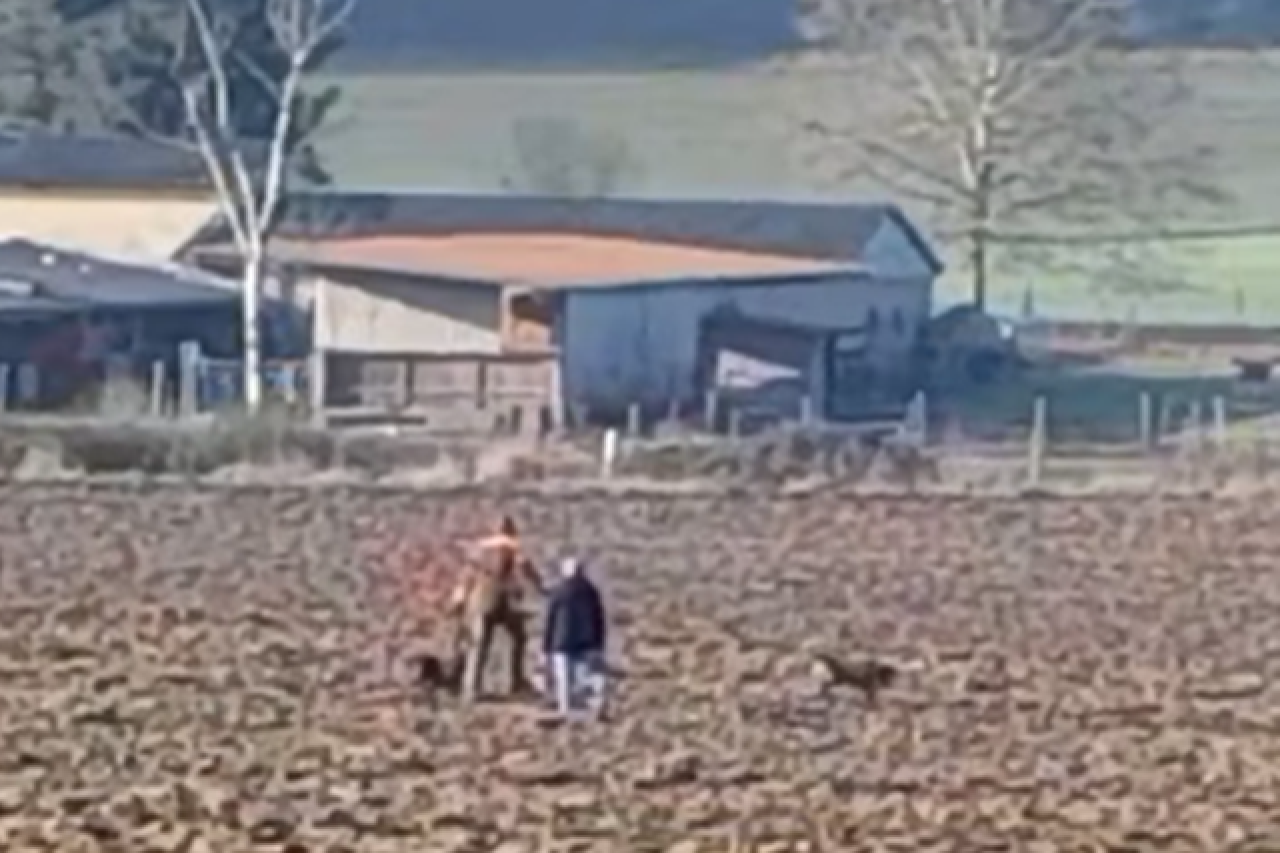 Grausame Praktiken der Hobby-Jagd