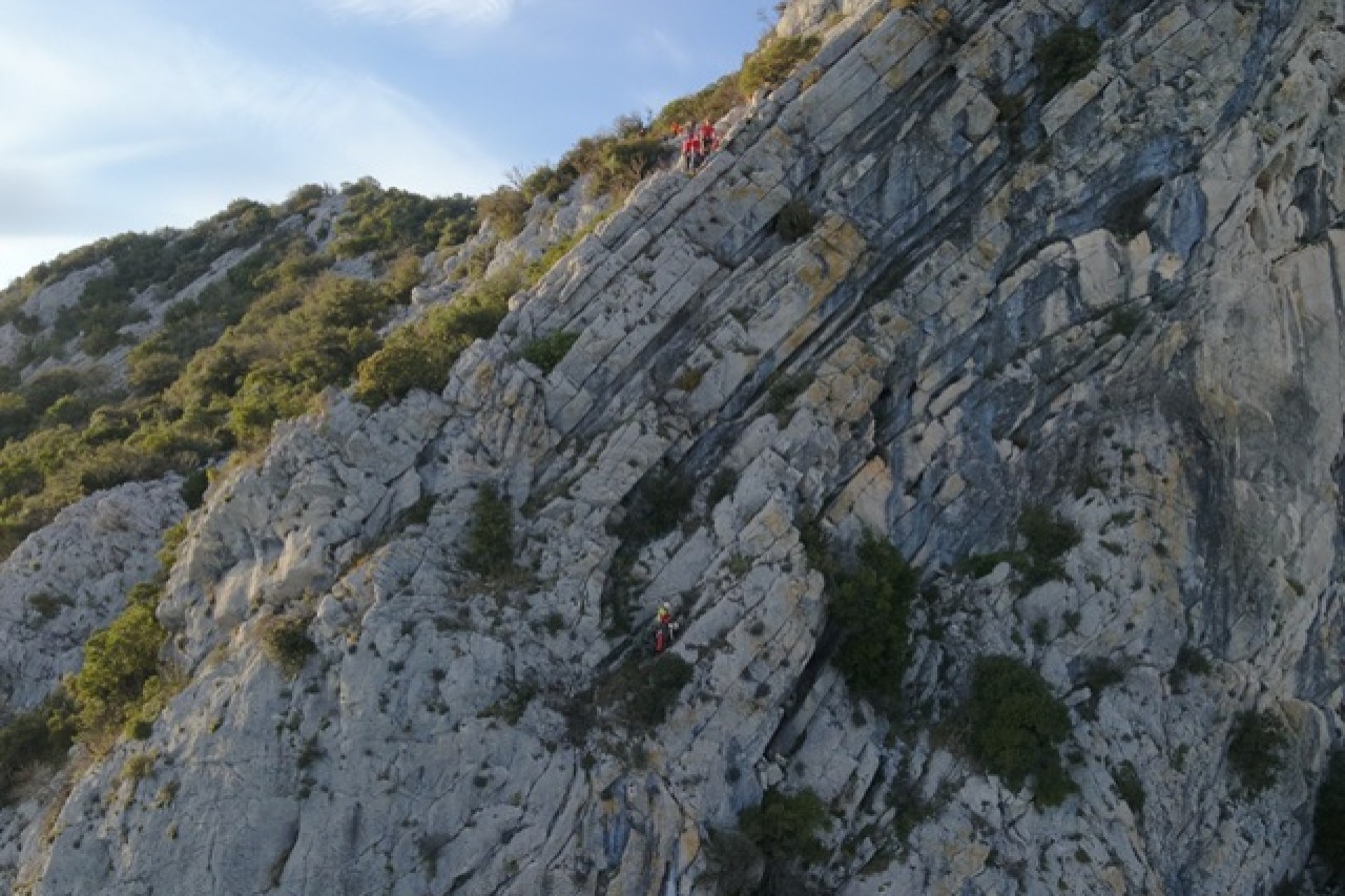 Heldentat der Retter: Jagdhund überlebt tödlichen Sturz