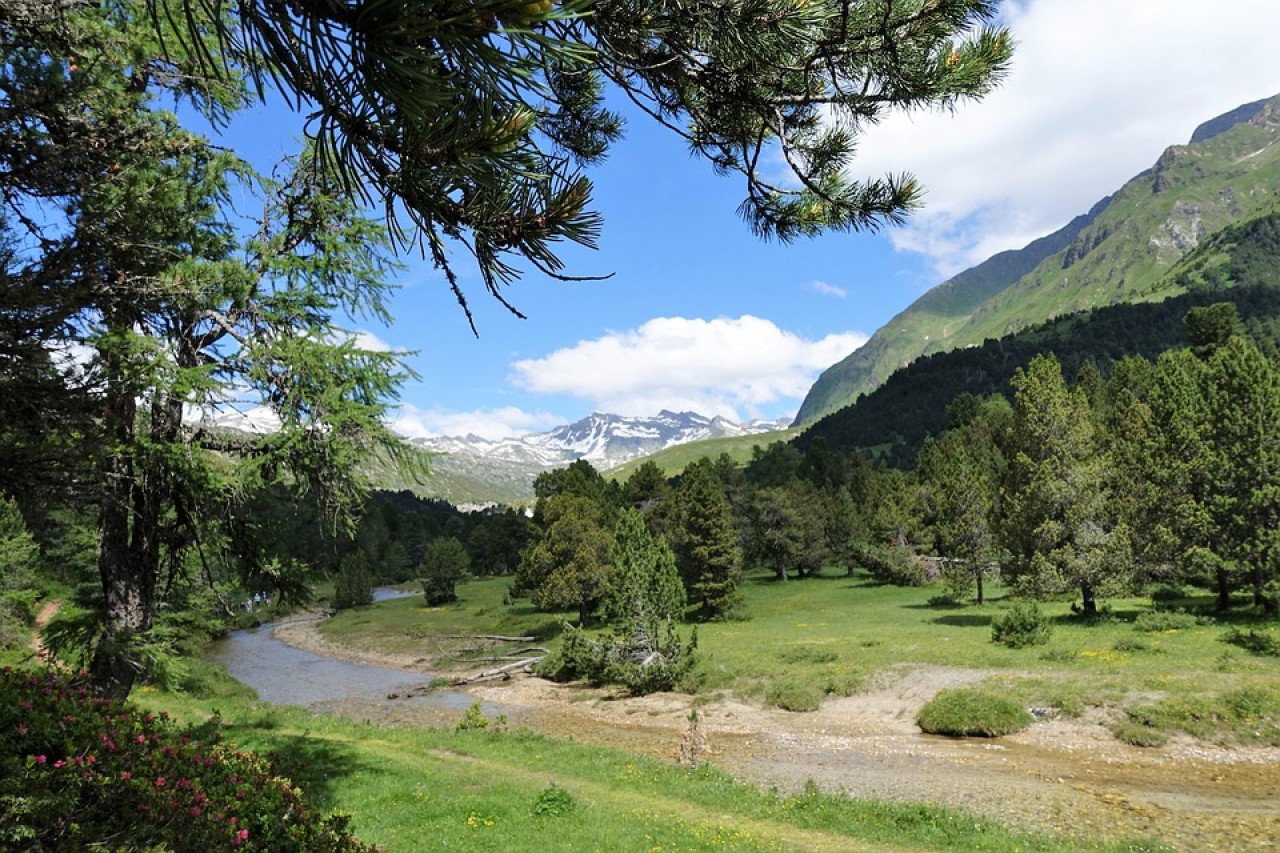 Conversione forestale al passo di Lukmanier