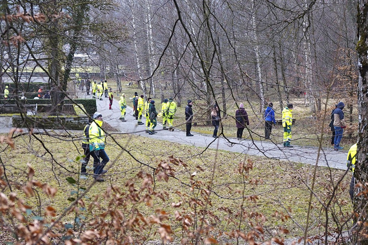 Rückkehr der Rehe: Stadtgrün treibt Wildtiere sanft aus dem Friedhof Rosenberg