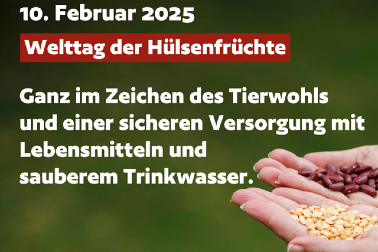 Welttag der Hülsenfrüchte